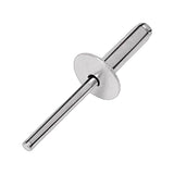 CELOSIA