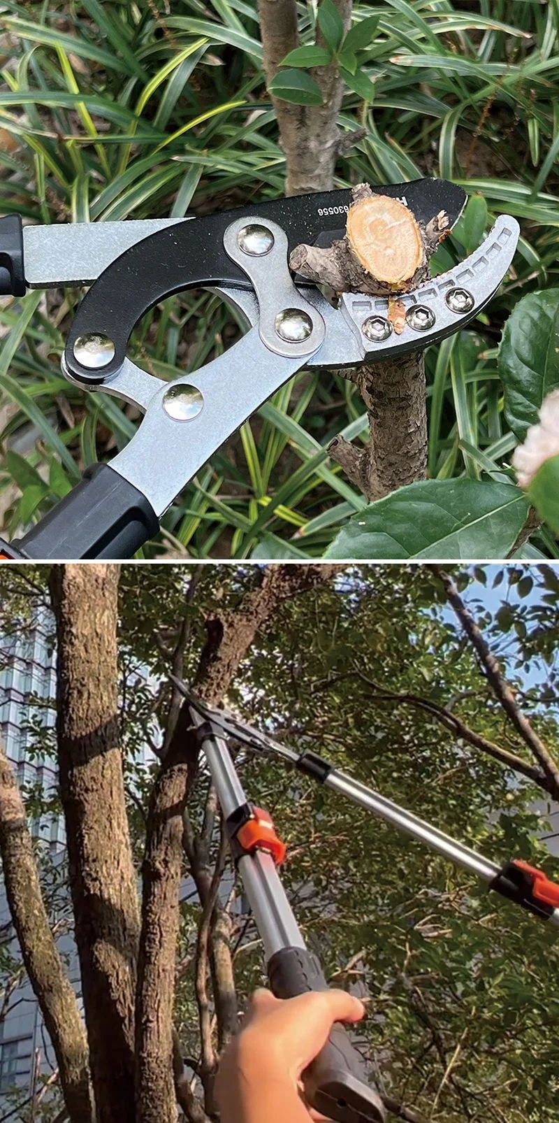 PODADORA MANUAL — PODADORA MANUAL TELESCOPICA - HARDEN